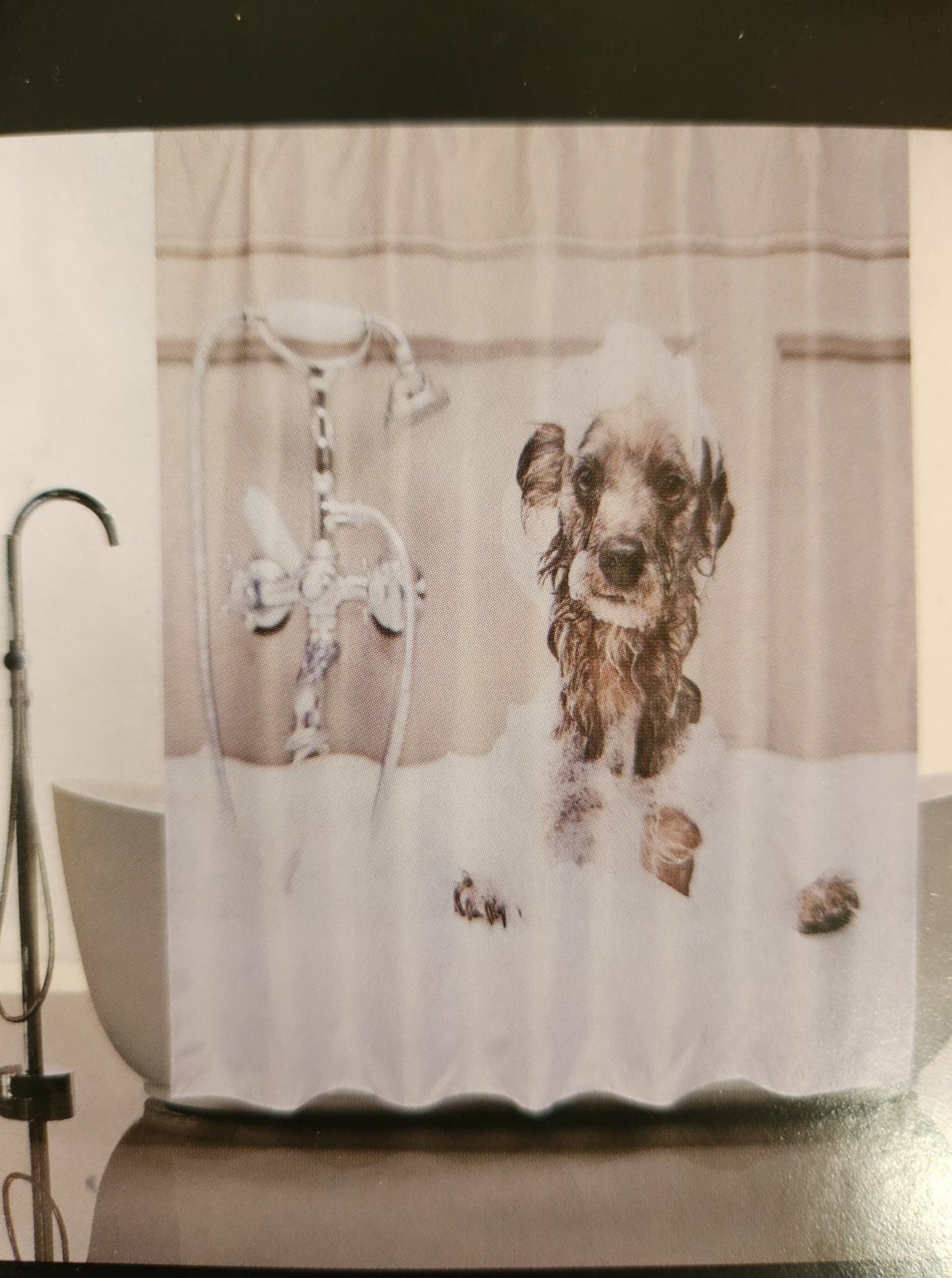Centredepeinturedeco | |Rideau-douche | Chien | Bain