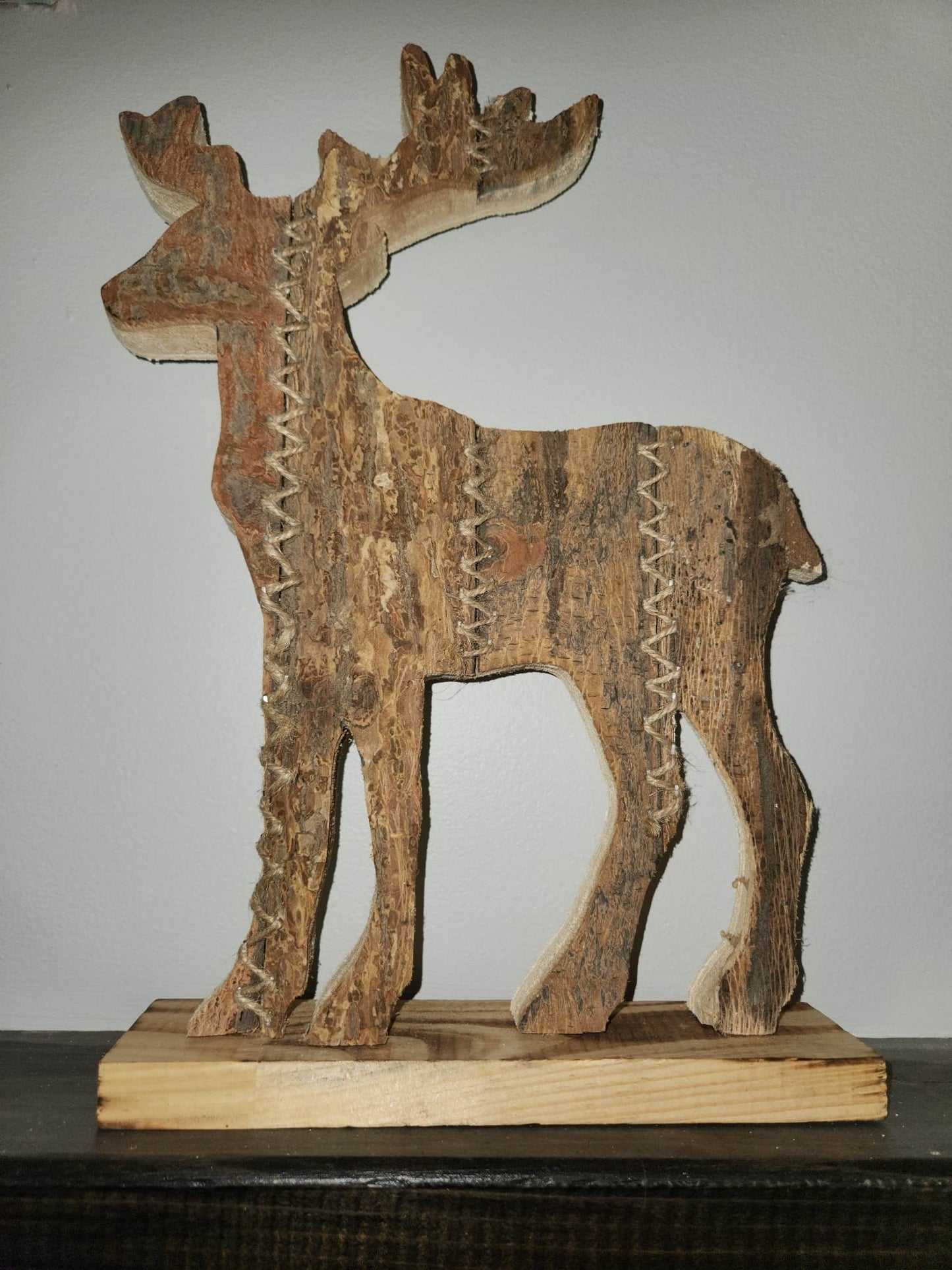 Orignal de bois | Sur pied | naturel