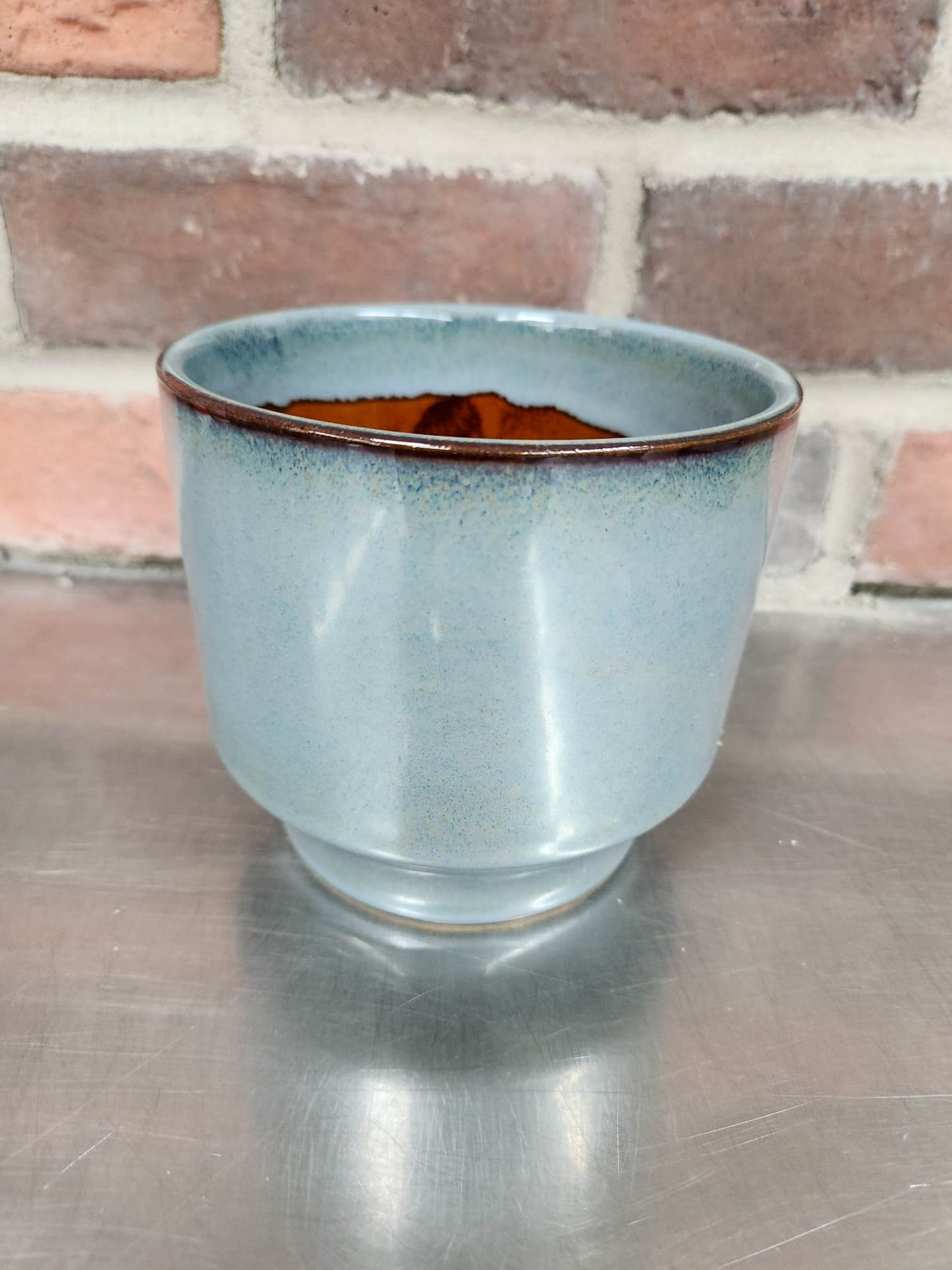 Vase| Bleu | Céramique | Plante