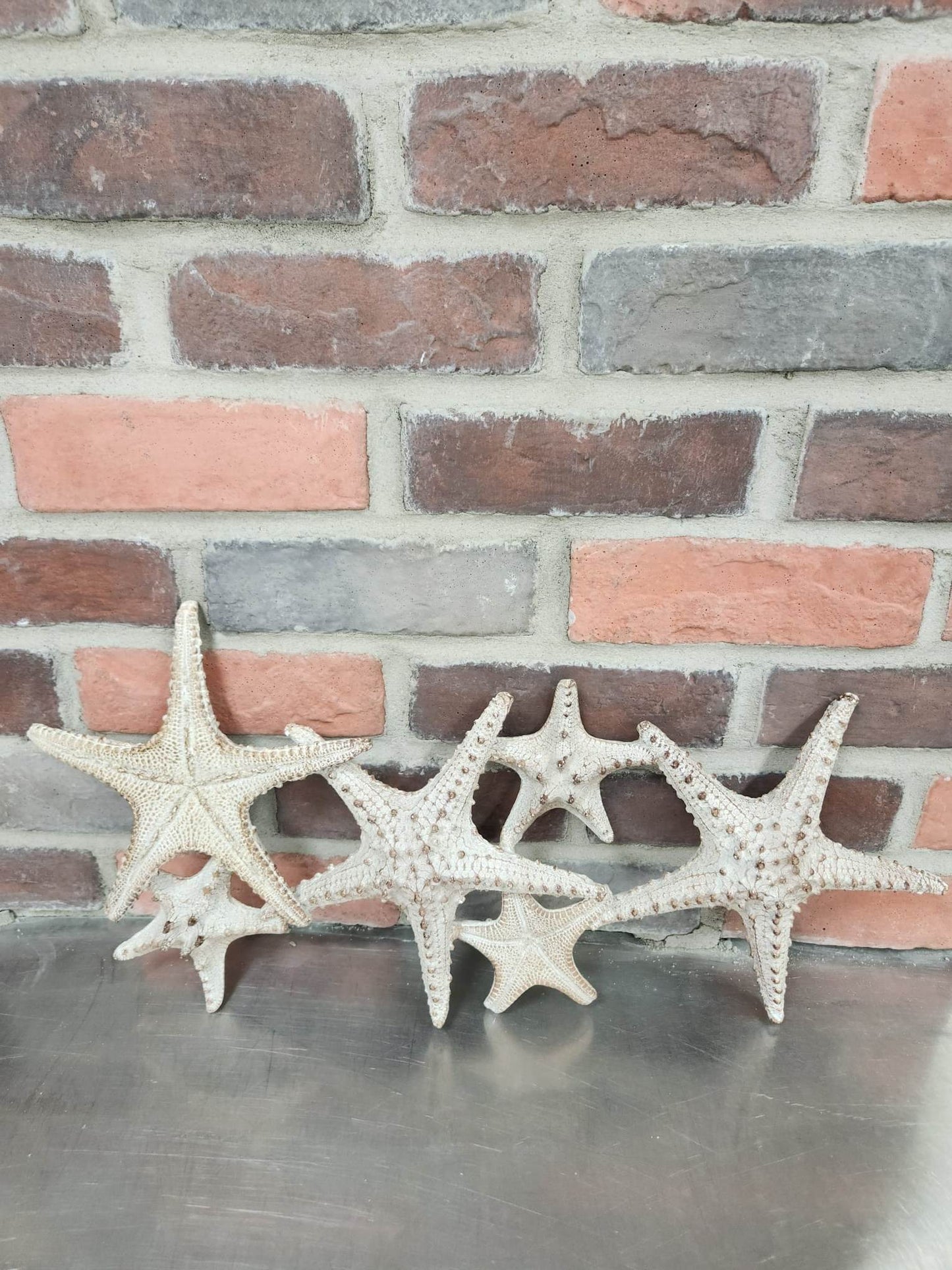 Décoration murale | Étoile | Porcelaine | Beige